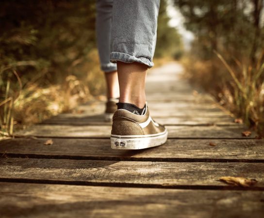 The Power of 8,000 Steps a Day: Reducing the Risk of Premature Death
